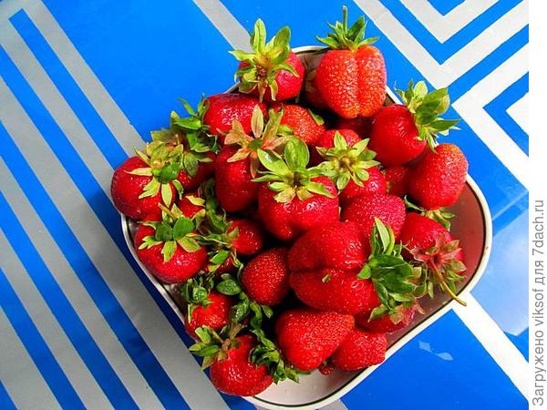 Новый сорт - Семидачный вкус - угощайтесь!