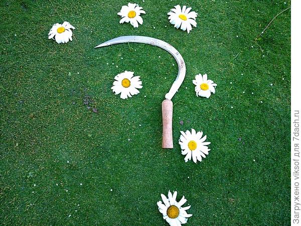 Китайский серп, подумать только! Всё для русских!