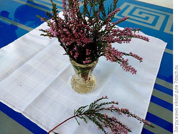 Нет! Не лаванда - вереск!