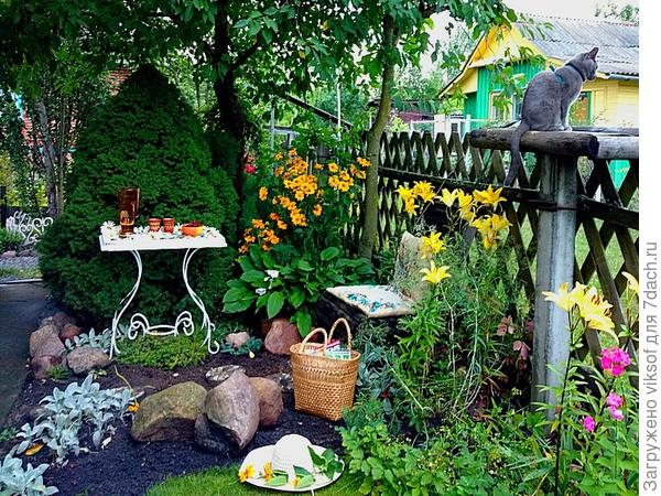 С лилиями даже в моём тенистом уголке становится солнечнее