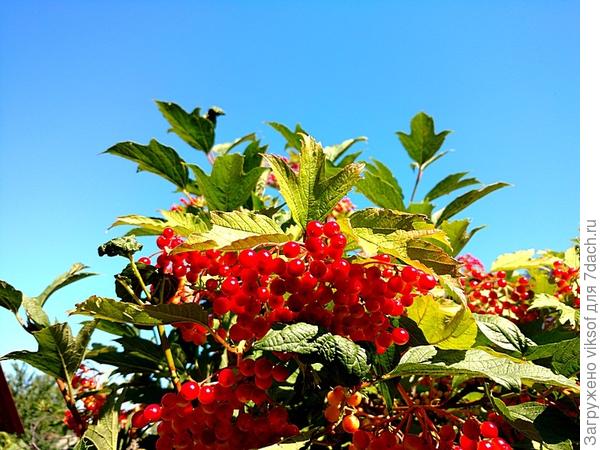фото