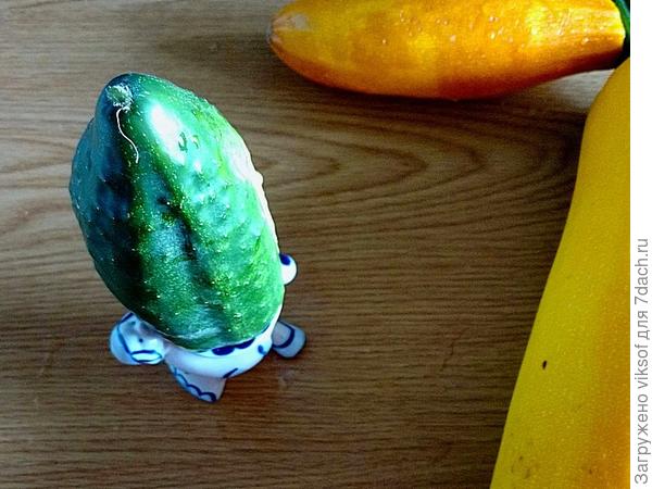 Я что ли опоздал, так это хозяйка виновата: у неё все дни - воскресенье - пенсионерка она у меня