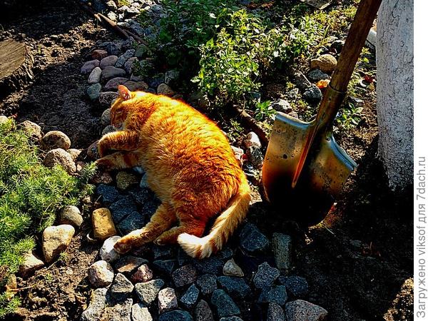 Да устал Я! Дайте отдохнуть! Все грядки перекопал, а им всё мало! До любимого дивана сил нет дойти!