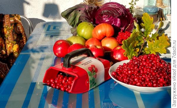 Вот он, финский не наш