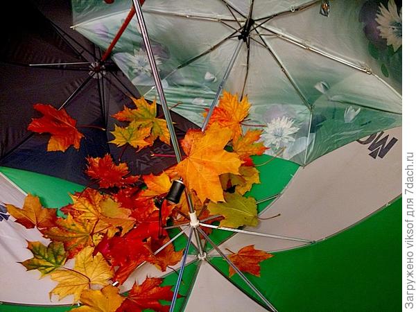 Даже, если нет дождя, зонт с собой беру всегда!