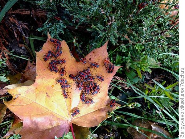 Прощальная вечеринка