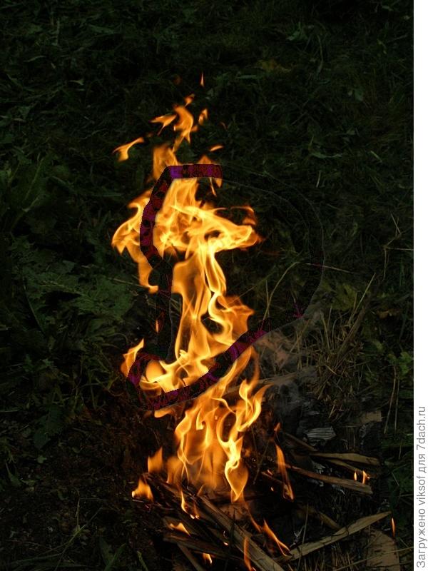 очертила - и грива видна, и глаз да вся голова!!!