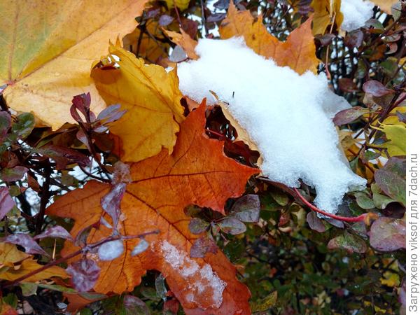 Утром была зима, к вечеру всё растаяло