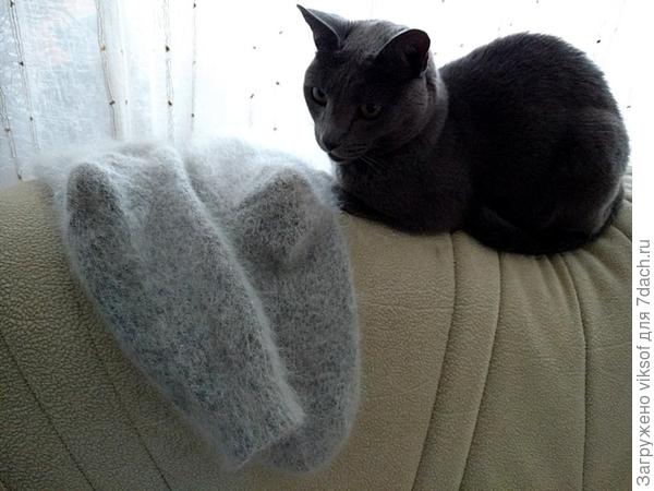 Витас одобрил - тёпленькие, в составе козья шерсть