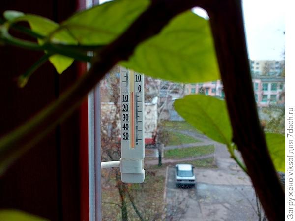 ...и что-то падает-падает с неба...