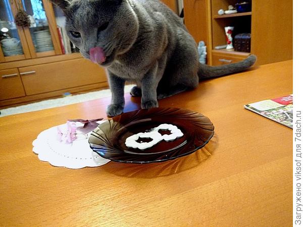 Вот! Получилось! Из сметаны рисует 8, а рядышком несколько капель валерьянки, уже нализался! Она, хозяйка, готовит...без затей