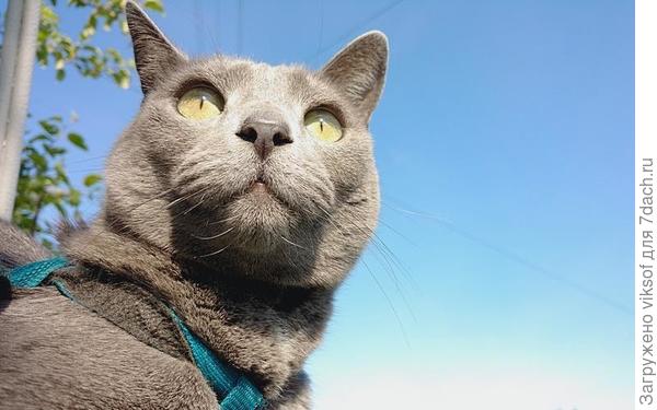 с мыслями о будущем дачном сезоне