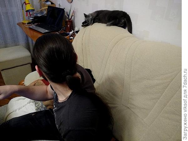 вчера гости меня совсем ухандокали и к компьтеру не подпускали