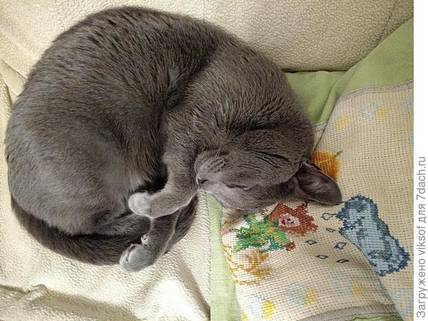 на дачной прдушечке