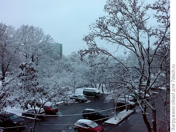 это из окна спальни рано утром