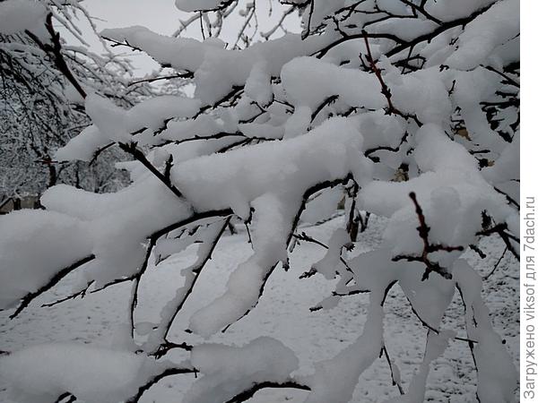 даже не верится - умница Я разумница - раненько на улицу сбегала