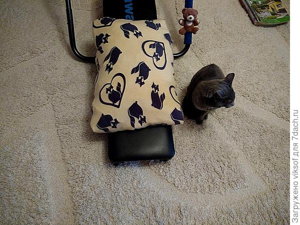 Эта подушка Витаса