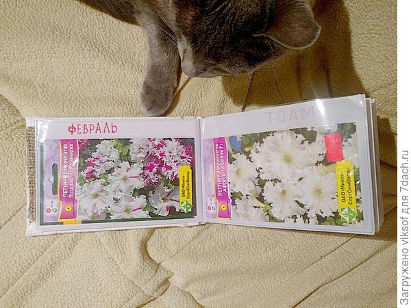 фото