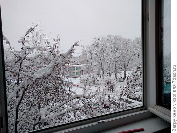 У открытого окна делаю зарядку, чтобы выглядеть красивой на любимой грядке!