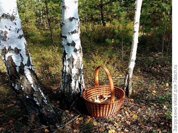 только что собранные