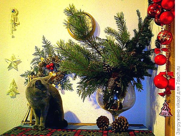 надо присмотреться, думу думает мой кот! Жаль, что не сфотографировала, когда вернулись домой: в прихожей было ...посленовогодье, бокала не стало!