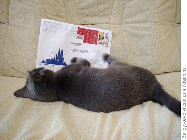 вот как понять, он терпеть не может фотографироваться, а здесь он совсем не обращал на меня внимание, он играл с конвертом...