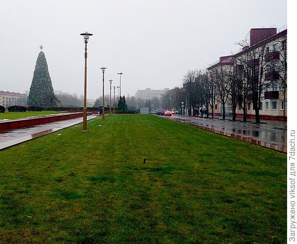 С Наступающим Новым годом, дорогие семидачники!