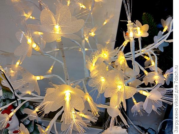 Праздник продолжается! С Днём рождения!