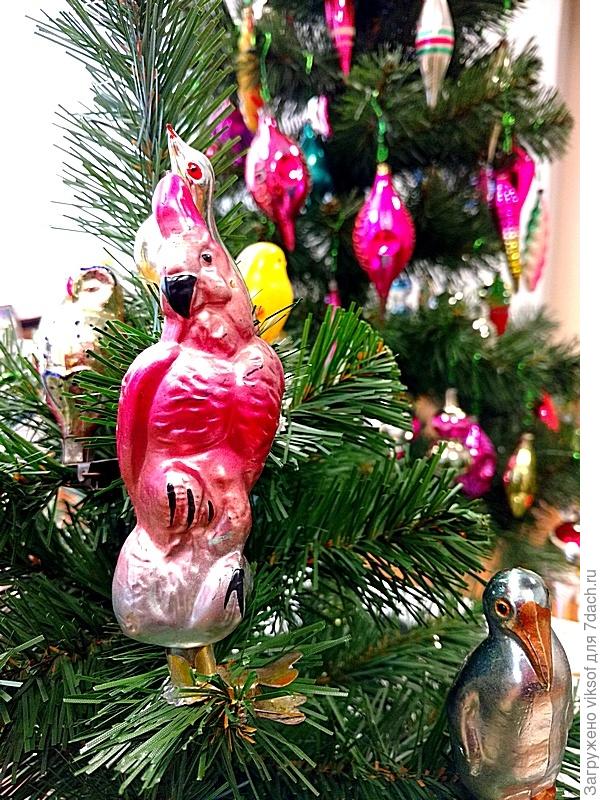 у меня был такой попугай, только зелёненький