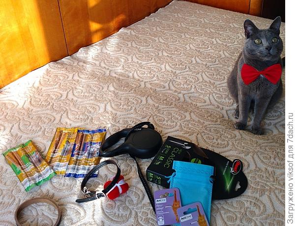 Кот Витас с подарками приветствует и поздравляет всех-всех со Старым Новым годом!