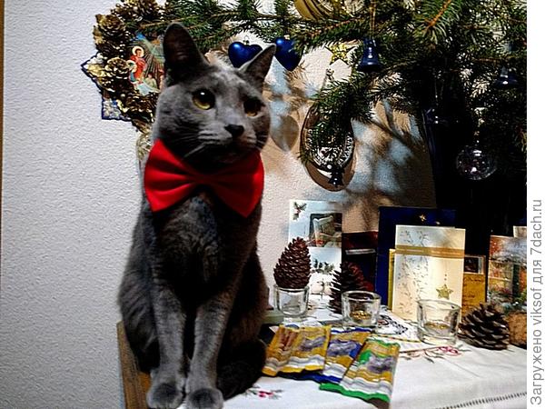 Со Старым Новым годом!