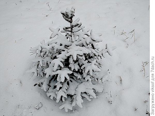 Рождественскую сказку обожаю творить сама () Рождественскую сказку обожаю творить сама
