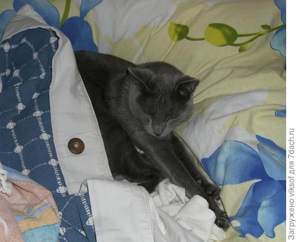 но только в промежутках от основной работы