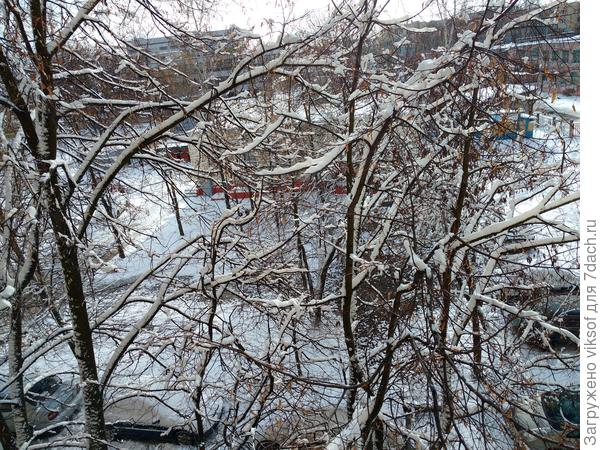 ... за окном зима