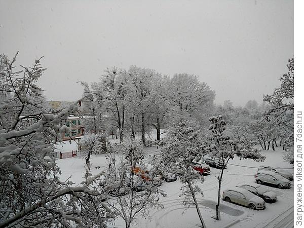 во дворе нашего дома