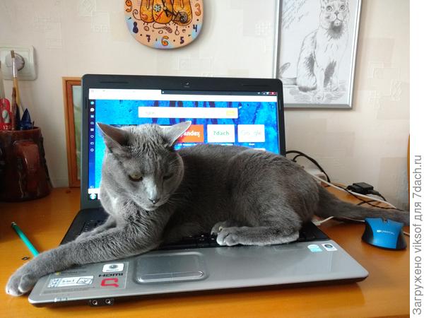 а он и не собирается уходить