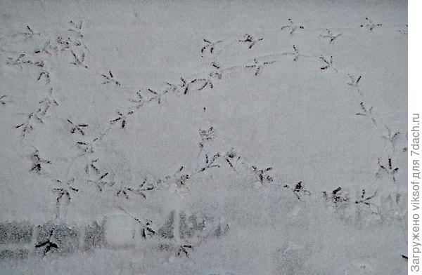 помнишь: биссектриса - это крыса, которая бегает по углам и делит угол пополам