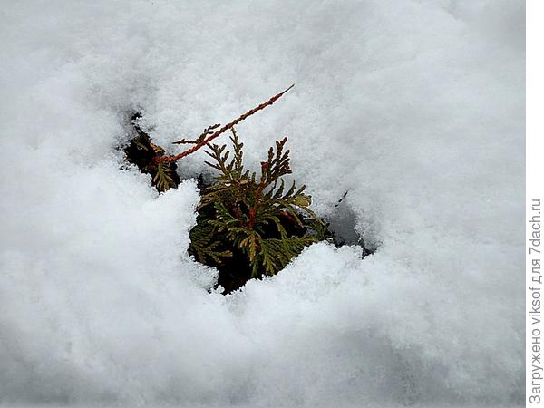 и снег очень тёплый, пушистый