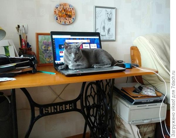 И от Витаса привет!