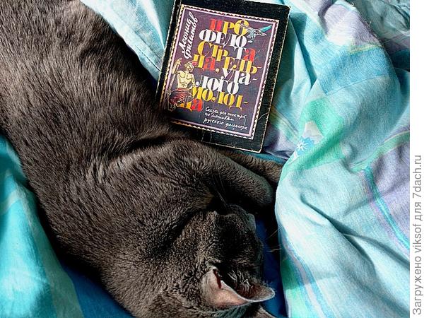 уморился ... читаМши