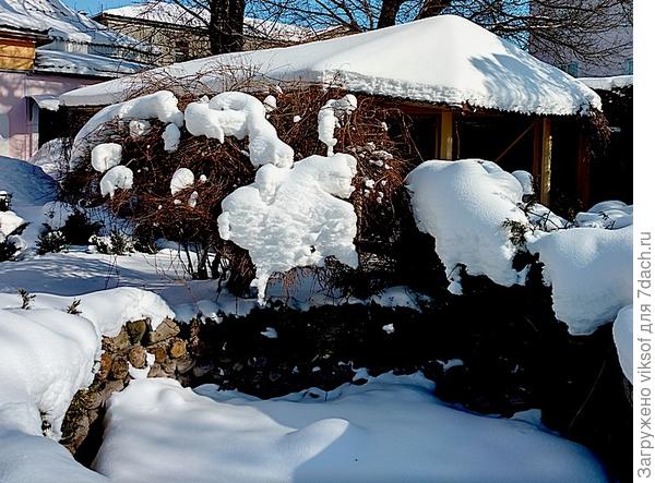 в сквере красиво