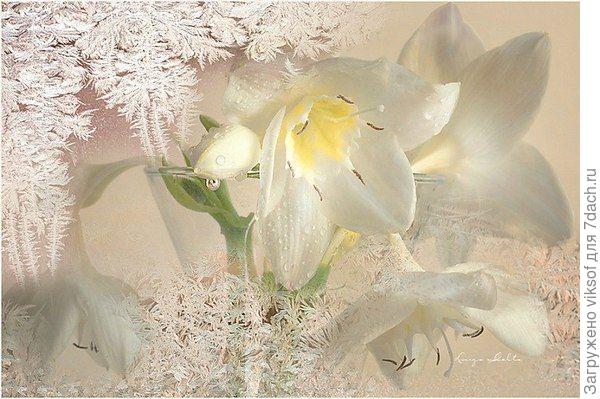 С праздниками! (открытка из интернета)