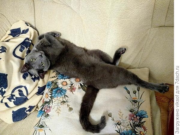 но, оглянулся и привет всем шлёт