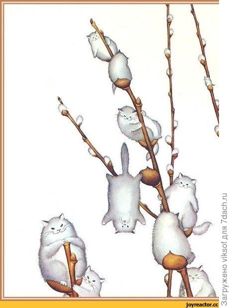 ...с днём весны и котиков