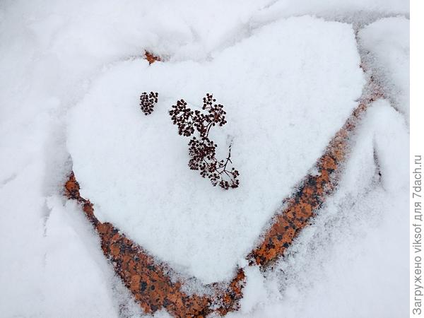С праздниками, дорогие семидачники!