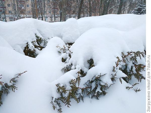 Мариночка, я же уже всех спать уложила!!! У нас и сейчас метёт, а это днём намело - Весна!