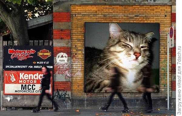 куда он бандито попал