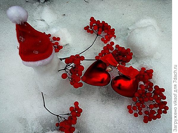 а перед Рождеством, если снег порадует,