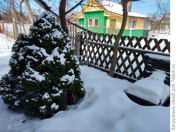 Моя коника сегодня!