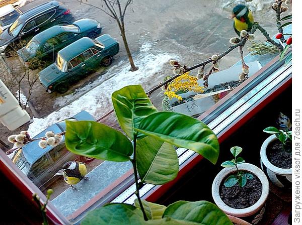 радость моя!